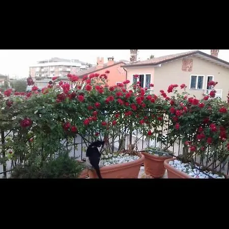 Apartment Casamarin6 *
